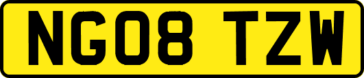 NG08TZW