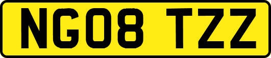 NG08TZZ