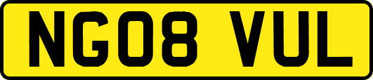 NG08VUL