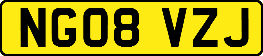 NG08VZJ