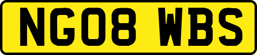 NG08WBS