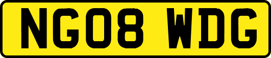 NG08WDG