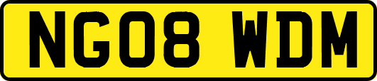 NG08WDM
