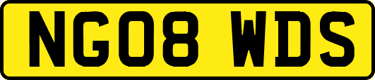 NG08WDS