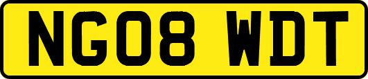 NG08WDT