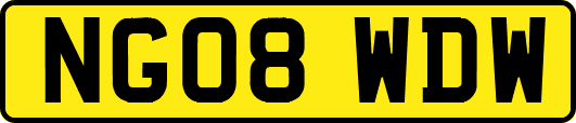 NG08WDW