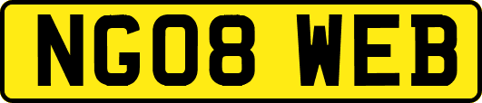 NG08WEB