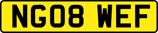 NG08WEF
