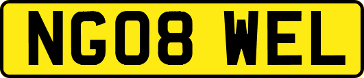 NG08WEL