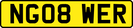 NG08WER