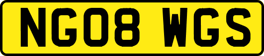 NG08WGS