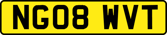 NG08WVT