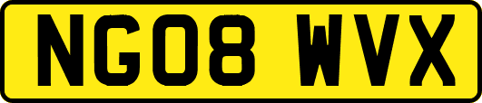 NG08WVX