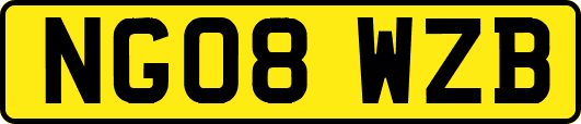 NG08WZB