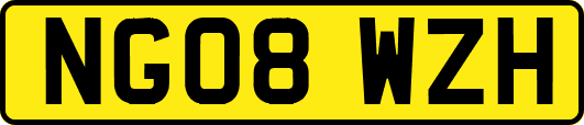 NG08WZH