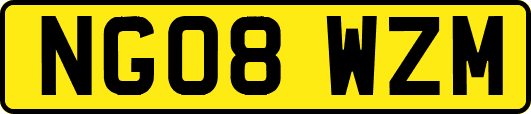 NG08WZM