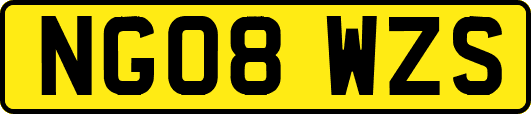 NG08WZS