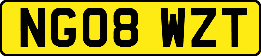 NG08WZT