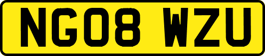 NG08WZU