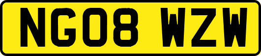 NG08WZW