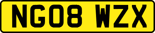NG08WZX