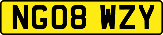 NG08WZY