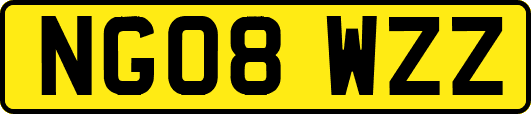NG08WZZ