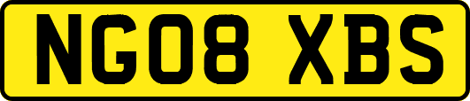 NG08XBS