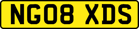 NG08XDS