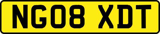 NG08XDT