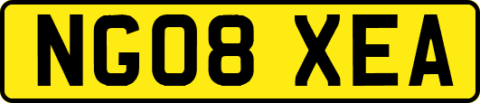 NG08XEA