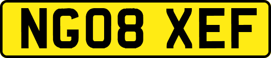 NG08XEF