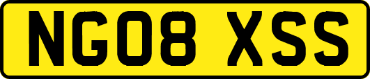 NG08XSS