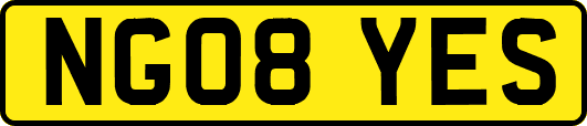 NG08YES