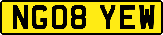 NG08YEW