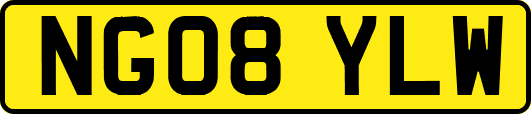NG08YLW