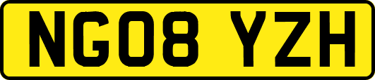 NG08YZH