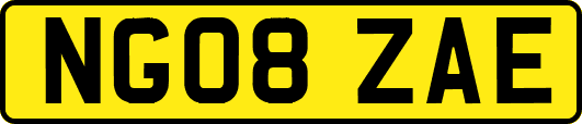 NG08ZAE