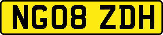 NG08ZDH