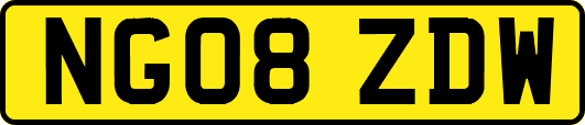 NG08ZDW