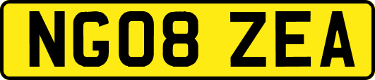 NG08ZEA
