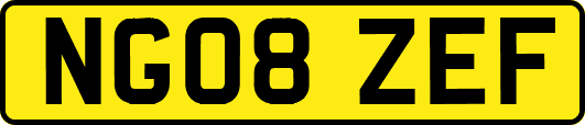 NG08ZEF