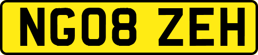 NG08ZEH