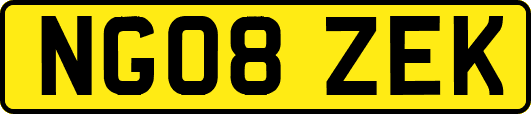 NG08ZEK
