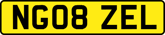 NG08ZEL