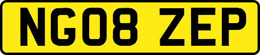 NG08ZEP