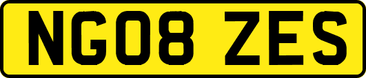 NG08ZES