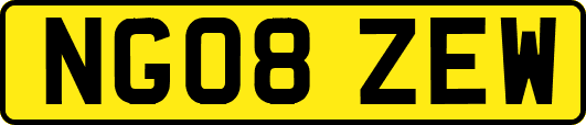 NG08ZEW