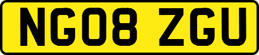 NG08ZGU