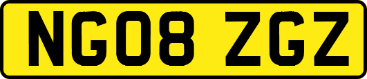 NG08ZGZ